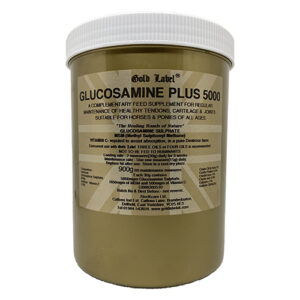 Gold Label Glucosamine Plus 5000 - 900g