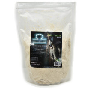 Equi-Rhythm® Milk Thistle Seed - 1kg
