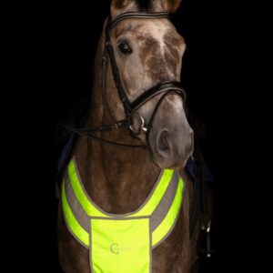 Covalliero Reflective Breastplate
