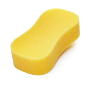 Sponge