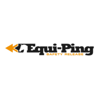 Equi-Ping