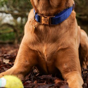 Titan K9®- The Velvet Collar & Lead Collection