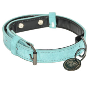 Titan K9® - The Camden Collar