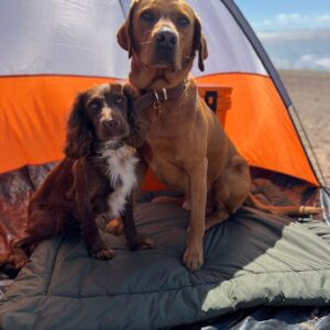 Titan K9® - The Trail Rest