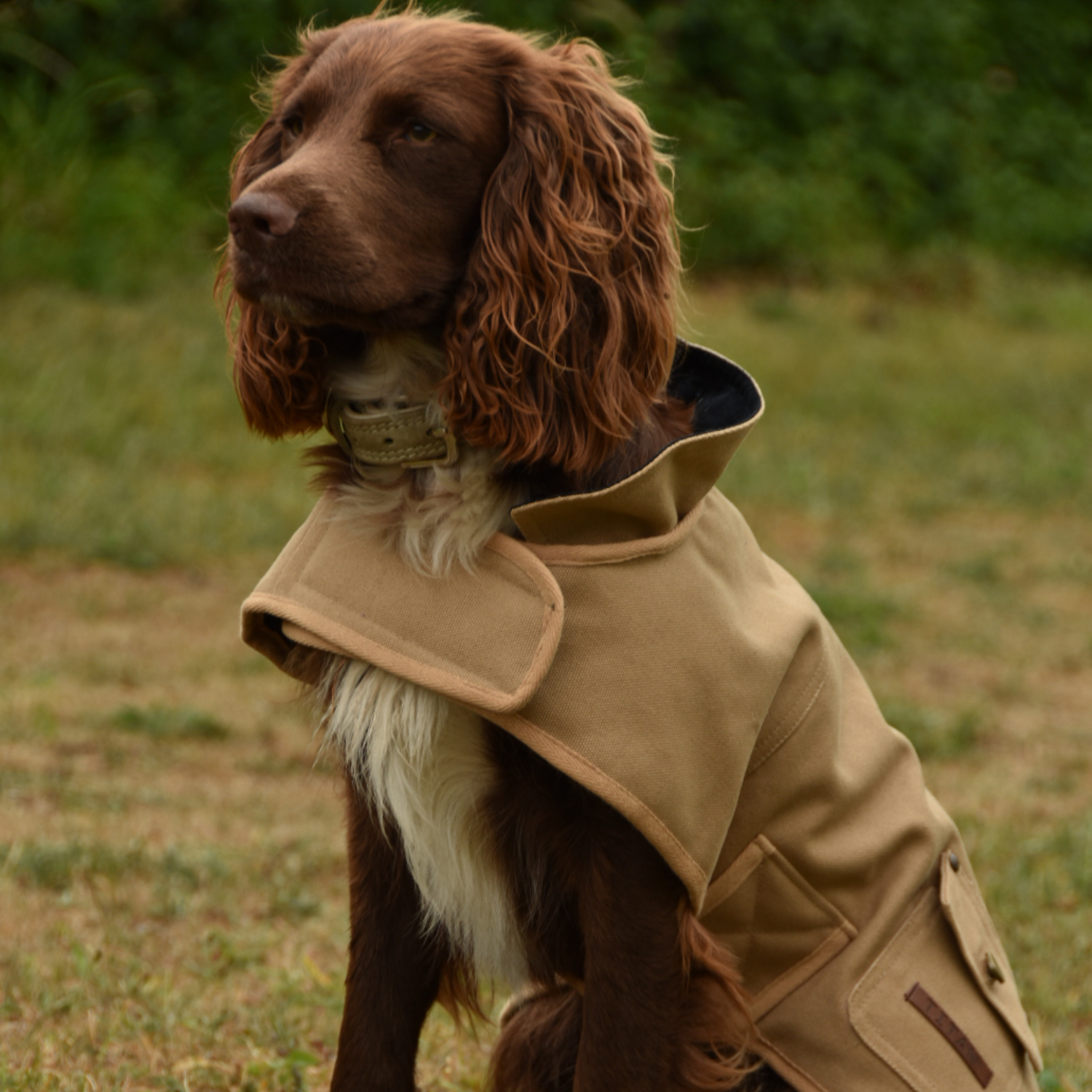 Titan K9® - The Hunter Harvest Coat