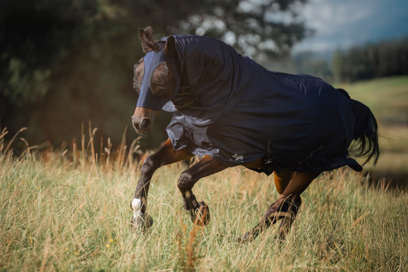 Kerbl Fino Stretch Fly Mask - Image 2