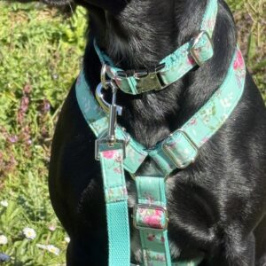 Titan K9® - The Velvet Harness - Spring/Summer Collection